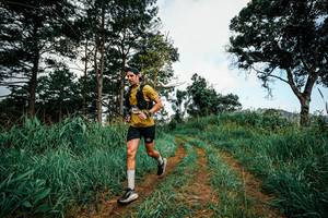 BIB: 
                            <button type="button" onclick="openModal(26025390)" class="btn btn-primary btn-sm float-right btn-popup" data-toggle="modal" data-target=".modal-high-quality">
                        <i class="fas fa-shopping-cart"></i> Add to Cart
                    </button>
                                            <button type="button" onclick="isThisMe(26025390, true)" class="btn btn-success btn-sm float-right btn-popup btn-isme hidden" data-toggle="tooltip" data-placement="bottom" title="นี่คือรูปของคุณใช่ไหม คลิกที่นี่เพื่อเอาเข้าอัลบั้ม">
                        <i class="fas fa-plus"></i> Add to album
                    </button>
                    <button type="button" onclick="isThisMe(26025390, false)" class="btn btn-warning btn-sm float-right btn-popup btn-isnotme hidden">
                        <i class="fas fa-ban"></i> Remove from album
                    </button>